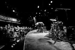 photos Zoetemer by Pino Romeo1